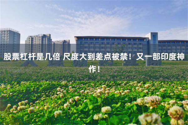 股票杠杆是几倍 尺度大到差点被禁！又一部印度神作！