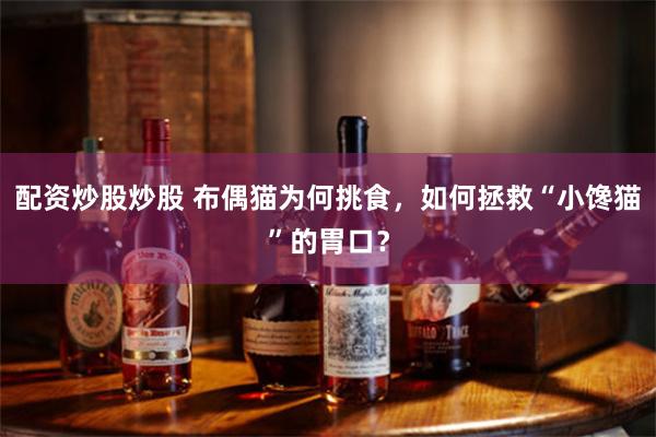 配资炒股炒股 布偶猫为何挑食，如何拯救“小馋猫”的胃口？