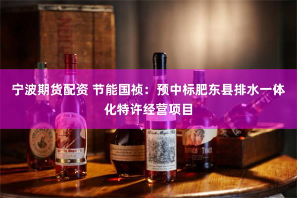 宁波期货配资 节能国祯：预中标肥东县排水一体化特许经营项目