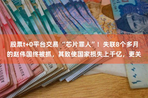 股票t+0平台交易 “芯片罪人”！失联8个多月的赵伟国终被抓，其致使国家损失上千亿，更关