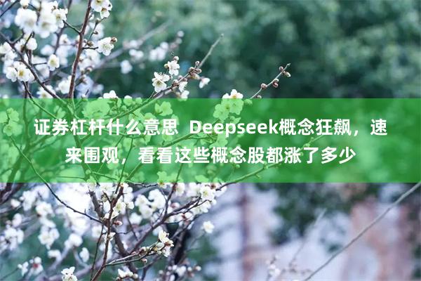 证券杠杆什么意思  Deepseek概念狂飙，速来围观，看看这些概念股都涨了多少