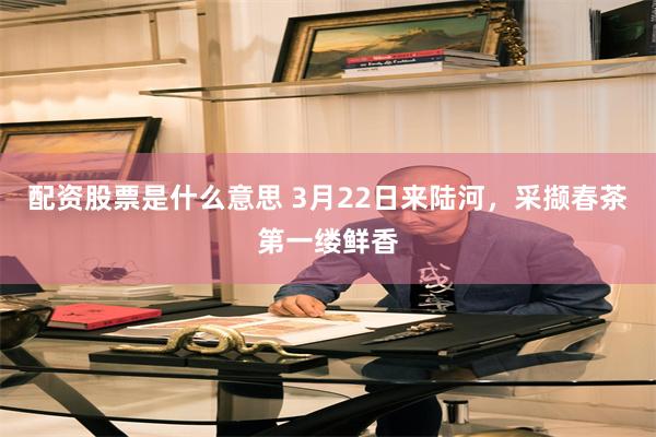 配资股票是什么意思 3月22日来陆河，采撷春茶第一缕鲜香