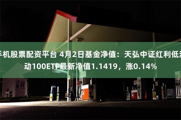 手机股票配资平台 4月2日基金净值：天弘中证红利低波动100ETF最新净值1.1419，涨0.14%