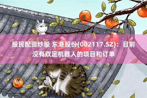 股民配资炒股 东港股份(002117.SZ)：目前没有双足机器人的项目和订单