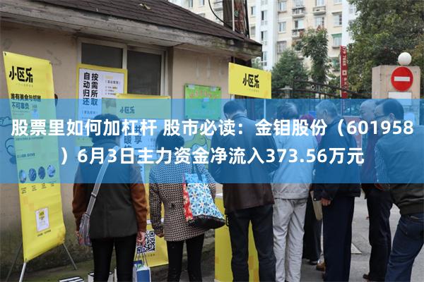 股票里如何加杠杆 股市必读：金钼股份（601958）6月3日主力资金净流入373.56万元