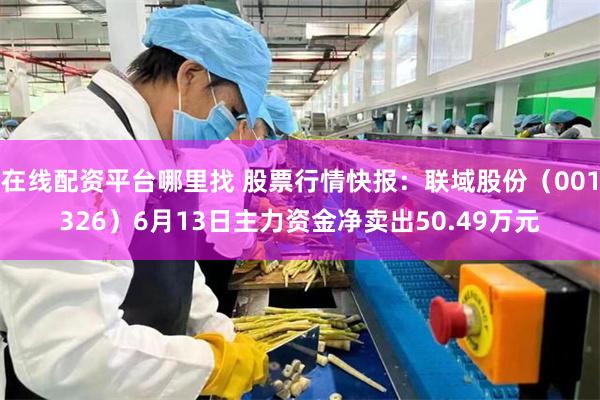 在线配资平台哪里找 股票行情快报：联域股份（001326）6月13日主力资金净卖出50.49万元