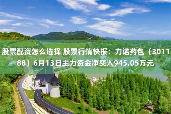 股票配资怎么选择 股票行情快报：力诺药包（301188）6月13日主力资金净买入945.05万元