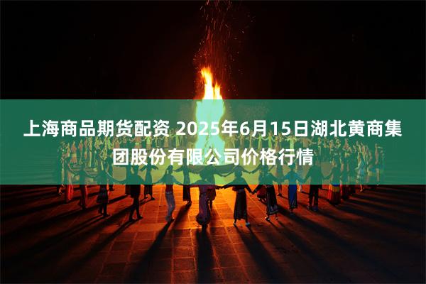 上海商品期货配资 2025年6月15日湖北黄商集团股份有限公司价格行情