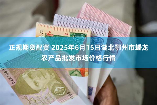 正规期货配资 2025年6月15日湖北鄂州市蟠龙农产品批发市场价格行情