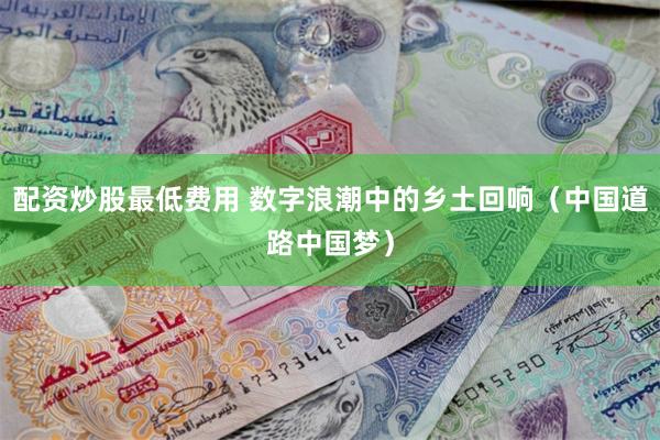 配资炒股最低费用 数字浪潮中的乡土回响（中国道路中国梦）
