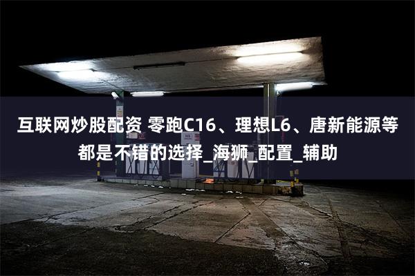 互联网炒股配资 零跑C16、理想L6、唐新能源等都是不错的选择_海狮_配置_辅助