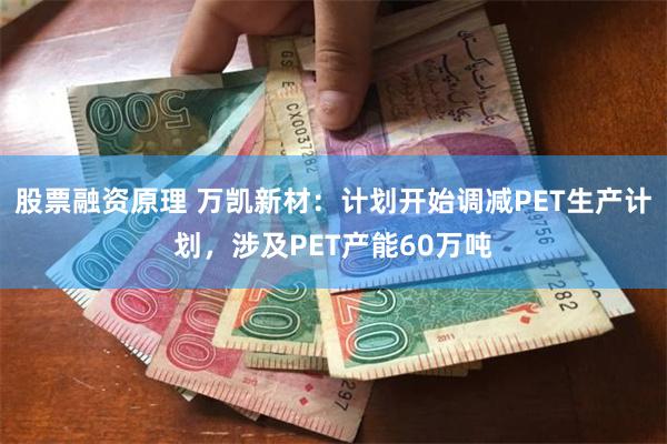 股票融资原理 万凯新材：计划开始调减PET生产计划，涉及PET产能60万吨