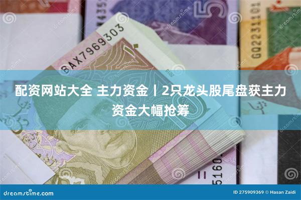 配资网站大全 主力资金丨2只龙头股尾盘获主力资金大幅抢筹