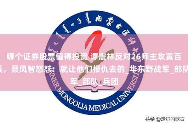 哪个证券股票值得投资 谭震林反对26师主攻黄百韬残兵，聂凤智怒怼：就让他们报仇去的_华东野战军_部队_兵团