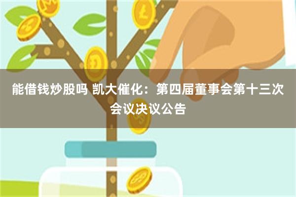 能借钱炒股吗 凯大催化：第四届董事会第十三次会议决议公告