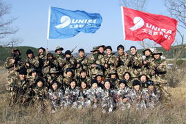 大連聯(lián)合國際船舶代理 國際船舶管理業(yè)務(wù)的卓越引領(lǐng)者