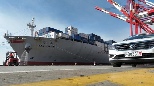 春節臨近，上海邊檢助力民生物資快速抵滬，保障國際船舶管理業務高效運轉